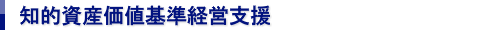知的資産価値基準経営支援